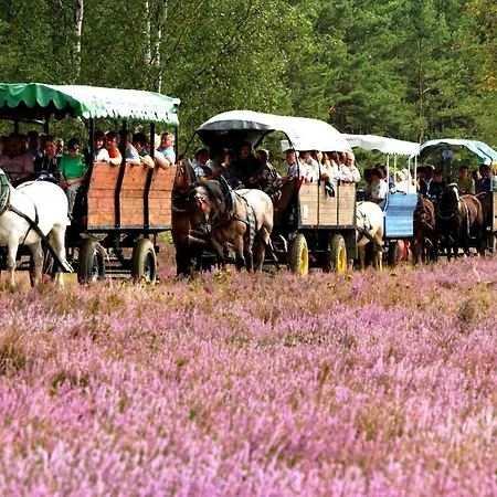 Heidepension Anja Pensión