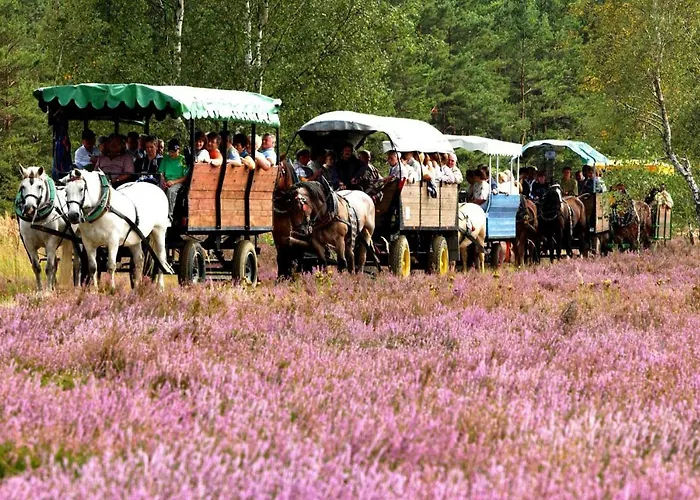 Heidepension Anja 게스트하우스