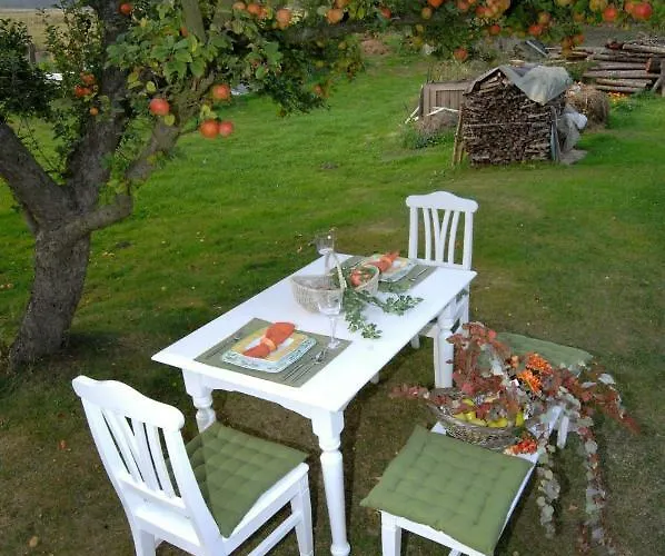 게스트하우스 Heidepension Anja Hohenleipisch