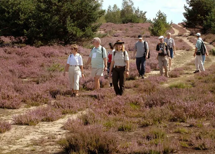 Heidepension Anja 3* Hohenleipisch